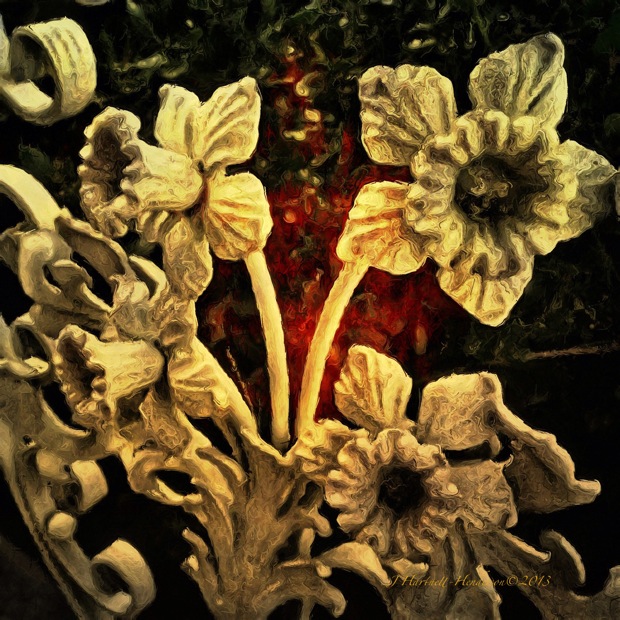Iron Daffodils by Jennifer Hartnett-Henderson ©2013